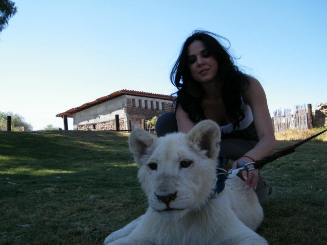 Interacting with animals 
